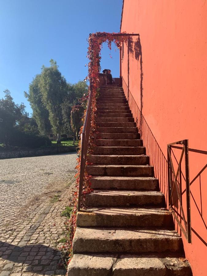 Casette rosse nel borgo medievale di Fossanova Latina Esterno foto